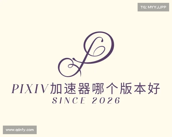知道pixiv加速器哪个版本好